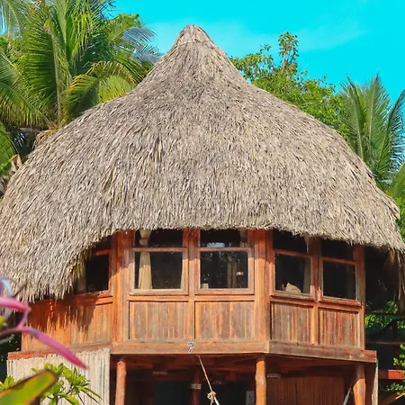 Hotel Tortuga Village-3