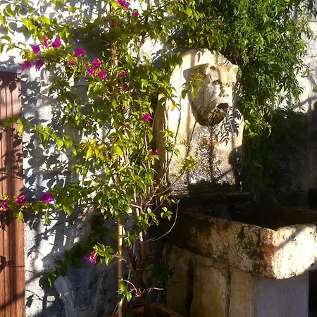 Hôtel Les Alizés-2