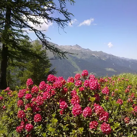 Hotel Alpina-3