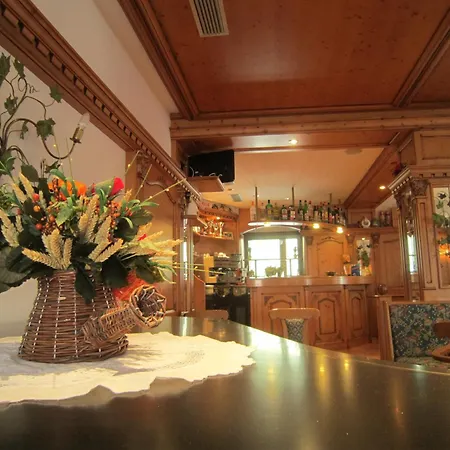 Hotel Alpina-2
