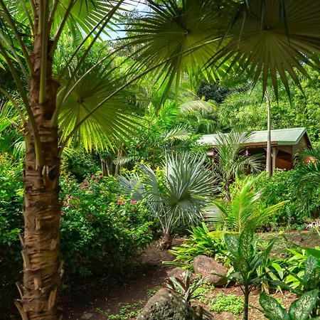 Au Jardin Des Colibris Ecolodge&Spa-3