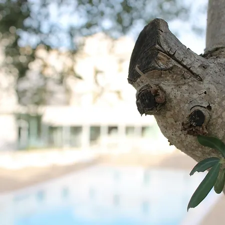 Pietre Nere Resort & Spa-2