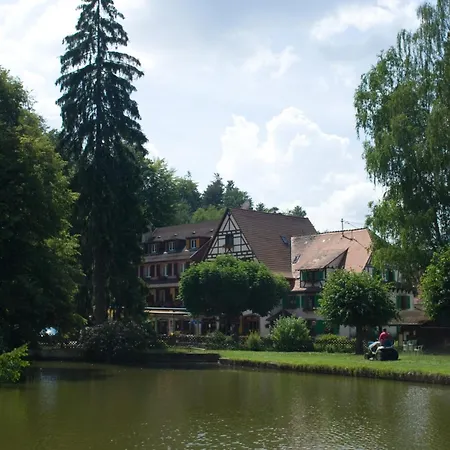 Logis Hôtel-Restaurant Auberge d'Imsthal-2