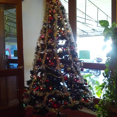Hotel Villa Kinzica-3