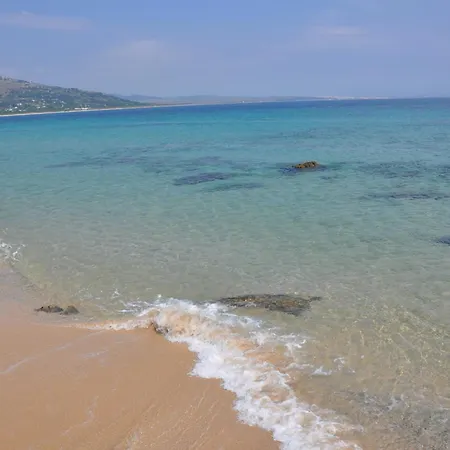 El Levante-3