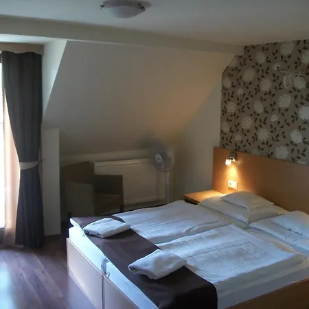 Hotel Viktoria-2