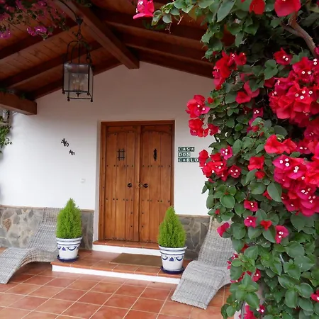 Bed&Breakfast | Guest House Casa Don Carlos-2