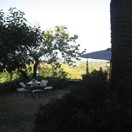 B&B Villa Panicucci-3