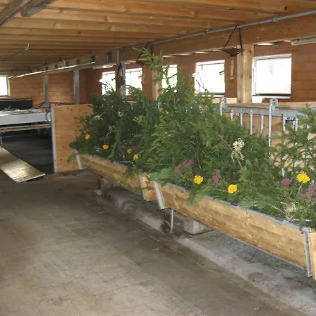 Hotel Bluemlisalp-3