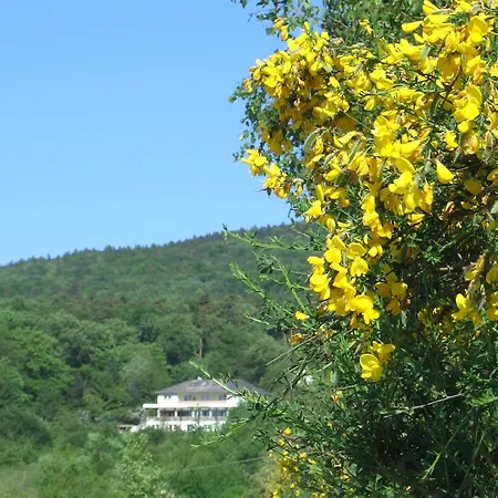 Zum Rebhang Bed&Breakfast-2