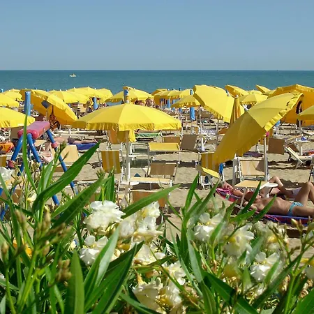Hotel Wally-2