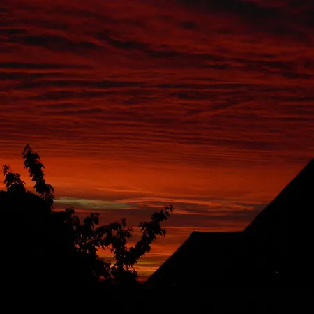 La Ferme Rose-2