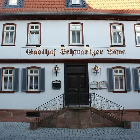 Hotel Schwartzer Löwe-3