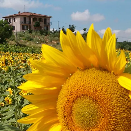 B&B Il Girasole - Rooms & House In Country - Air Conditioned - 1500 Meters From Historic Center-3