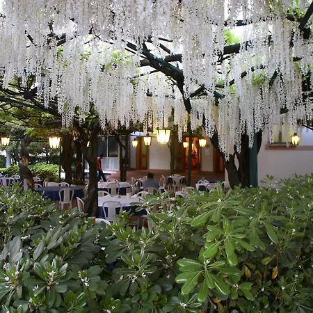 Albergo Ristorante Papa-2