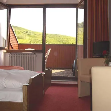 Alte Kelter-2