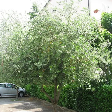 Campiglione Hotel-2