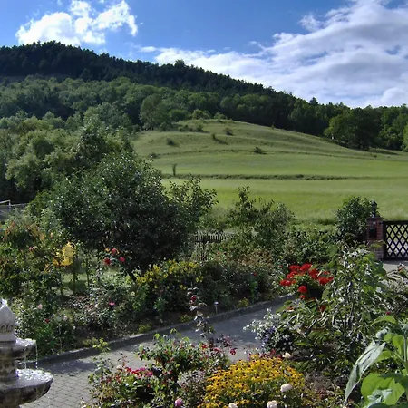 Hotel Haus Orchideental Jena-3
