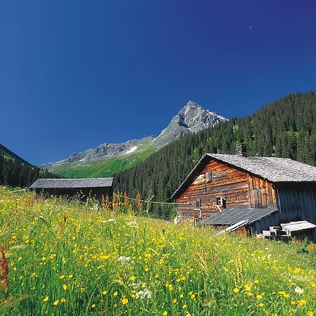 T3 Alpenhotel Garfrescha-3