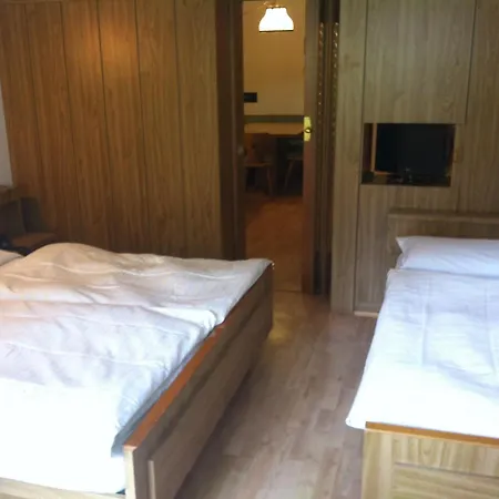 Hotel Alpe-2