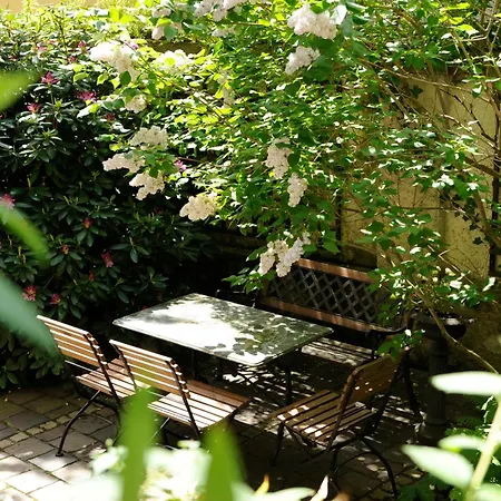Boutique Hotel Splendid-Dollmann-3