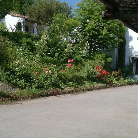 Finca Valbono Apartamentos Rurales y Hotel-3