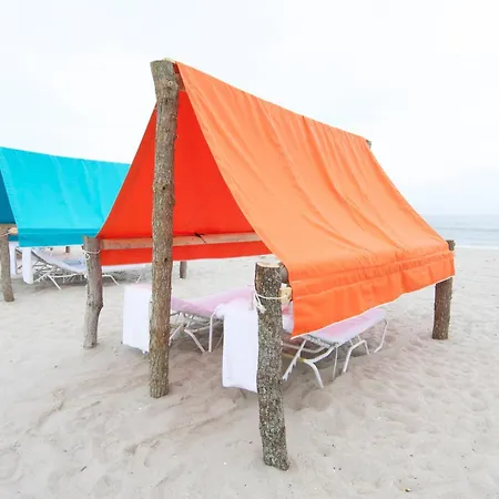 Beach Shack-2