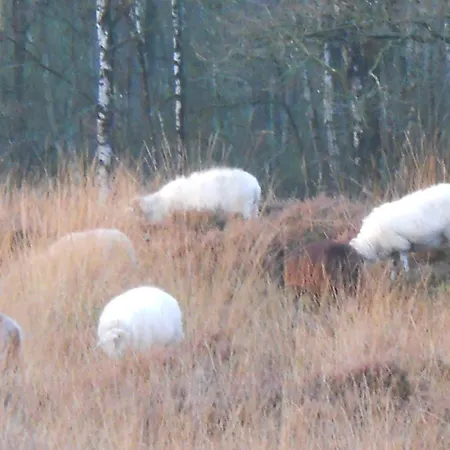 Slaopen en Stoet-2
