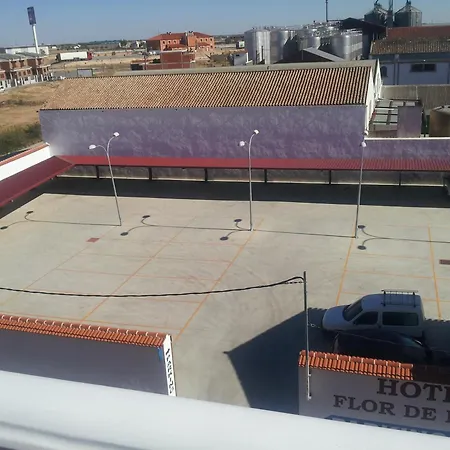 Hotel Flor de la Mancha-3