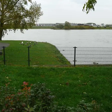 De Zilveren Karper-2