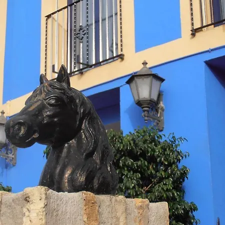 Hotel Caballo Negro-3
