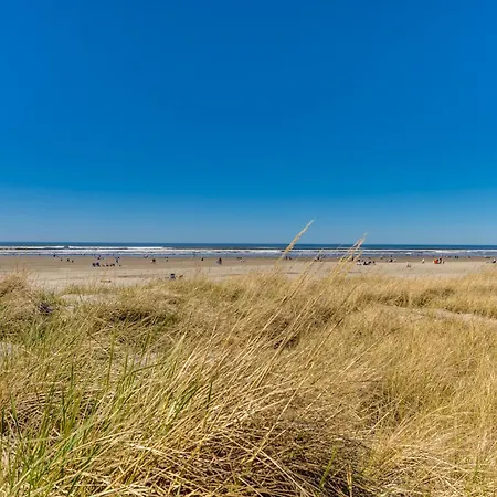 Sand & Sea: The Bilberry-2