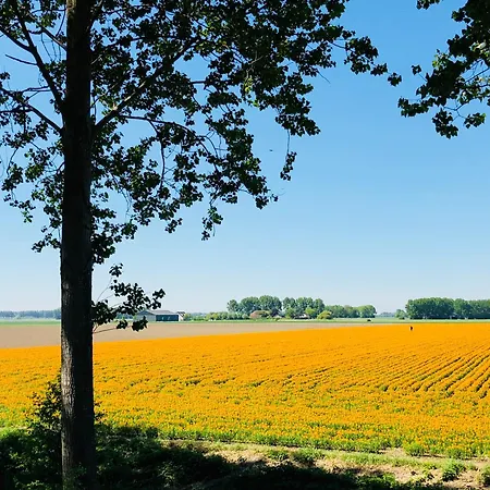 Slapen bij de Zeeuwse Lala-2