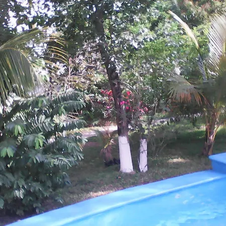 Mansion Giahn Bed & Breakfast-2