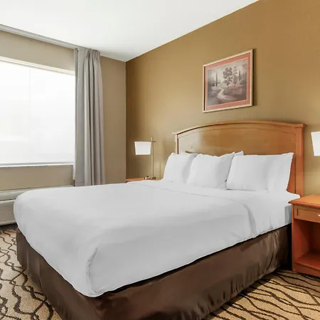 Comfort Inn & Suites Chesapeake - Portsmouth-3