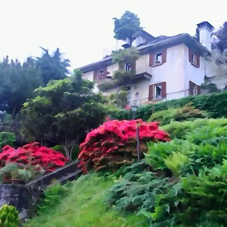 B&B Villa Moro - Holistic House-3