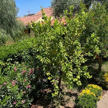 Fontane Bianche Guest Rooms-3