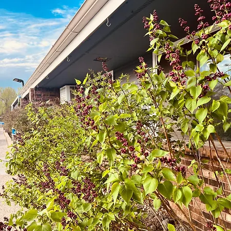 Travelodge By Wyndham Valleyfair Shakopee-2