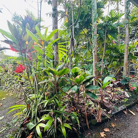 Hawaiian Ohana Home-3