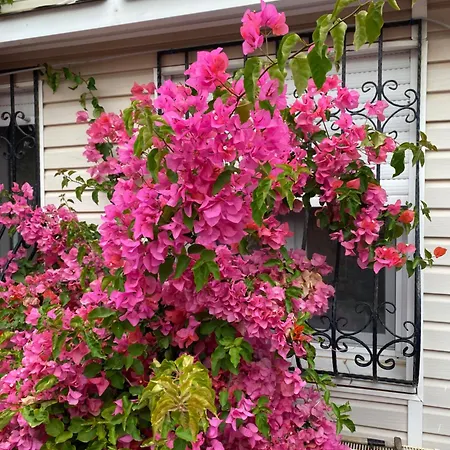 Villa Inci-3
