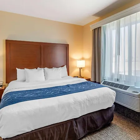 Comfort Suites Near Denver Downtown-2
