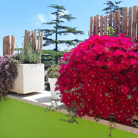 B&B Smartfit House - Room & Relax In Pescara-3