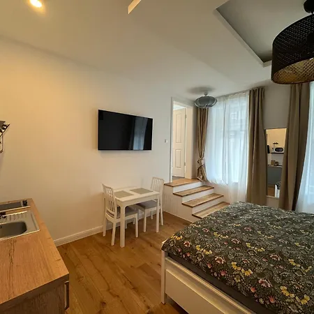 Boutique Hotel Pension Luisengrün Küche 1Gbs WLAN Netflix Disney MagentaTV-3