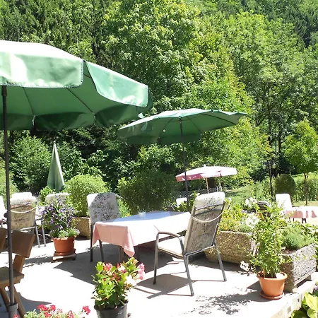 Gasthaus Zur Erle-3