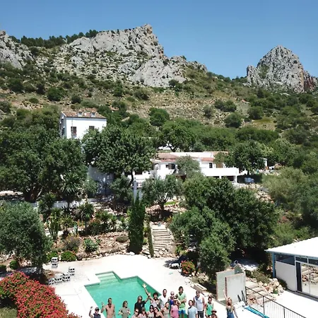 Olive Branch El Chorro-3
