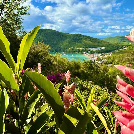 Au Jardin Des Colibris Ecolodge&Spa-2
