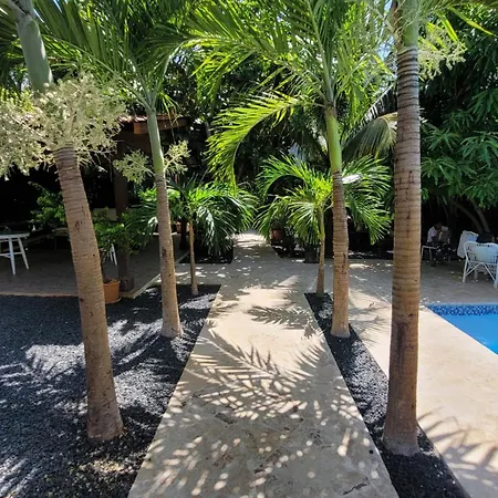 Green Oasis Hotel-3