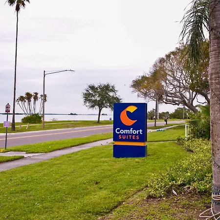 Comfort Suites Clearwater - Dunedin-3
