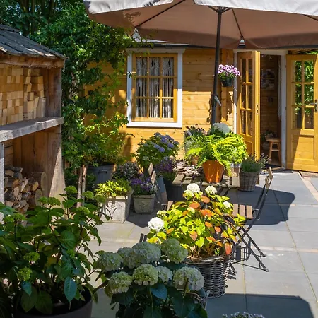 B&B de Hoek-3