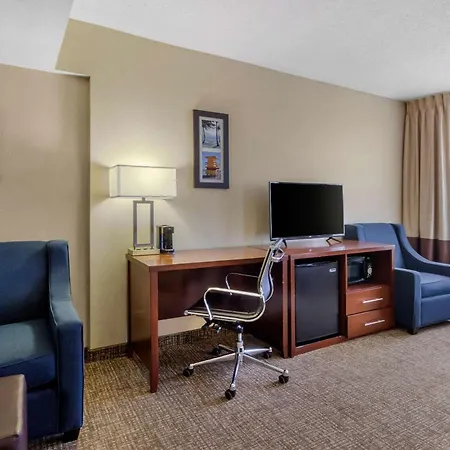 Comfort Inn St Petersburg North-3